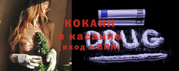 ГАЛЛЮЦИНОГЕННЫЕ ГРИБЫ Каменногорск
