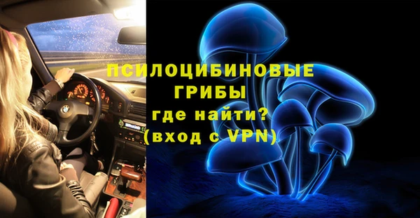 мдма Каменка
