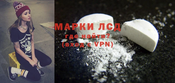 ГАЛЛЮЦИНОГЕННЫЕ ГРИБЫ Каменногорск