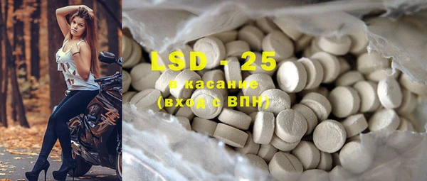 ГАЛЛЮЦИНОГЕННЫЕ ГРИБЫ Каменногорск